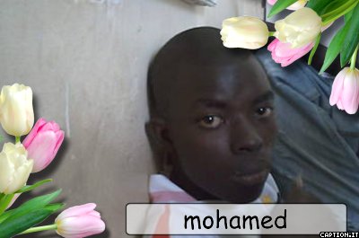 moha 3